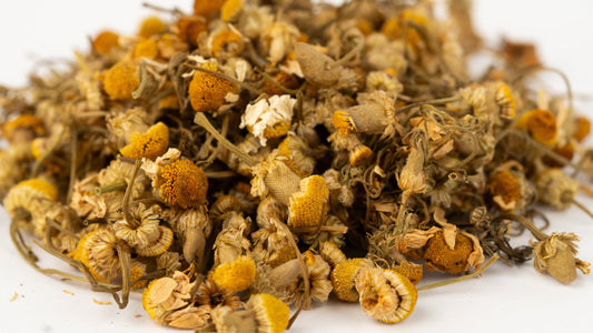 Why We Chose This Camomile Tea: Whole Buds, Gentle Sweetness, and Real Calm